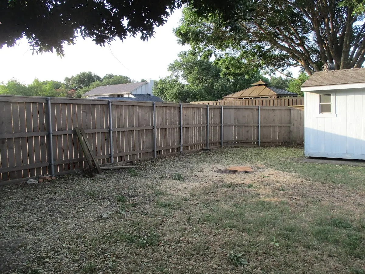 Cleared yard after professional tree removal in Big Piney